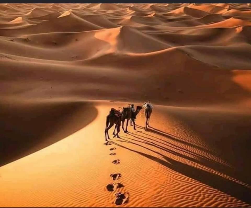 Camp Desert Bivouac Chegaga El Gouera Kültér fotó