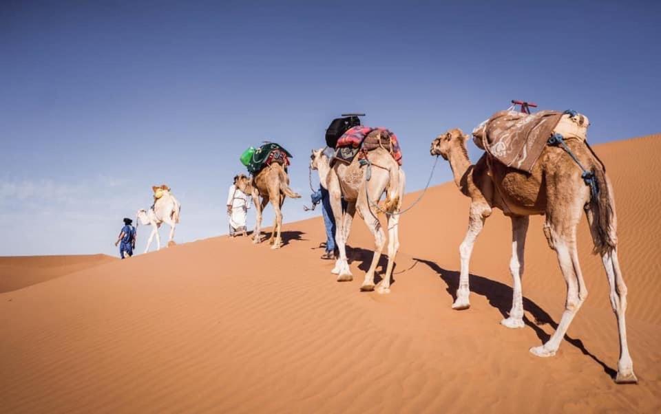 Camp Desert Bivouac Chegaga El Gouera Kültér fotó