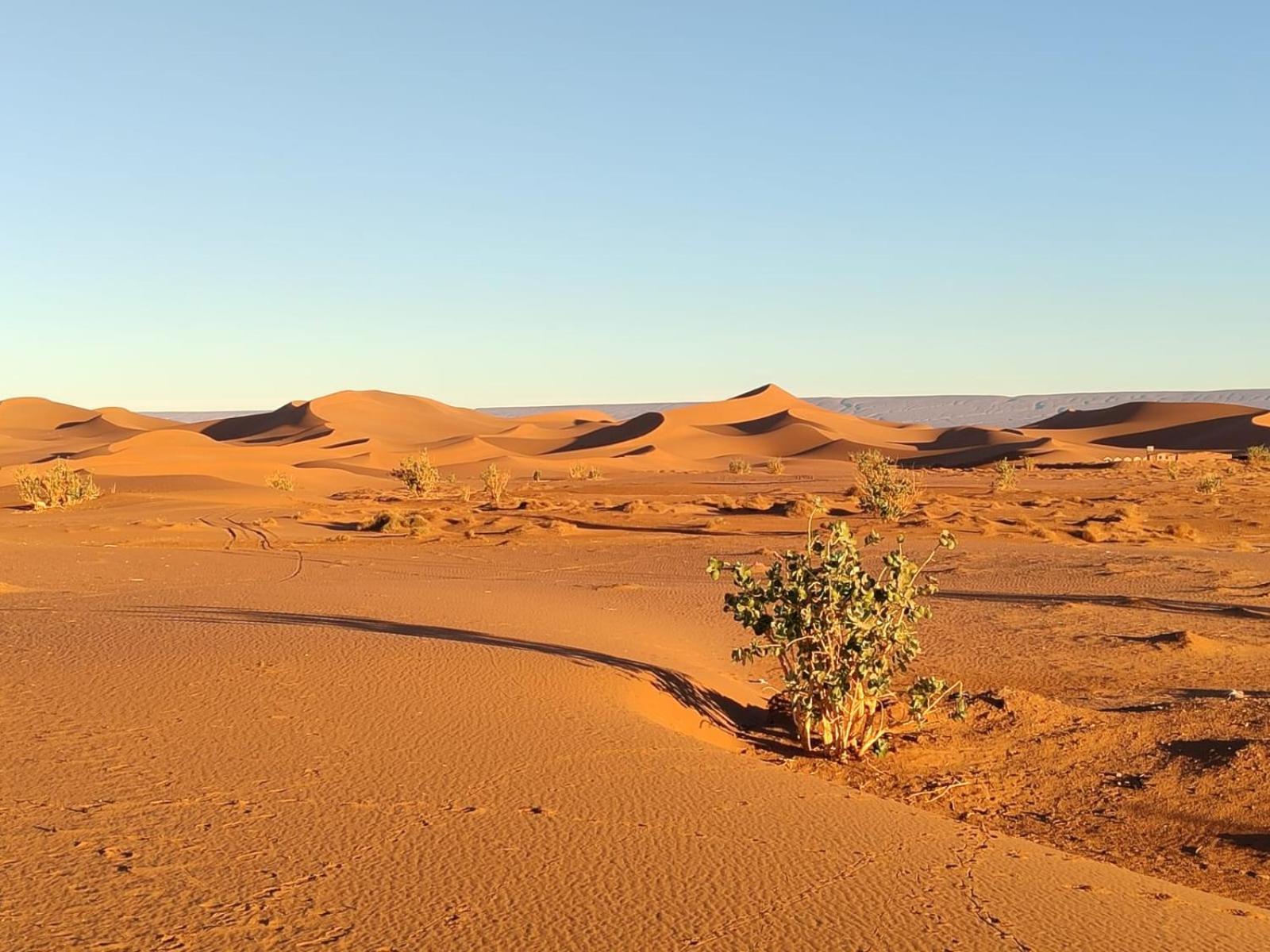 Camp Desert Bivouac Chegaga El Gouera Kültér fotó