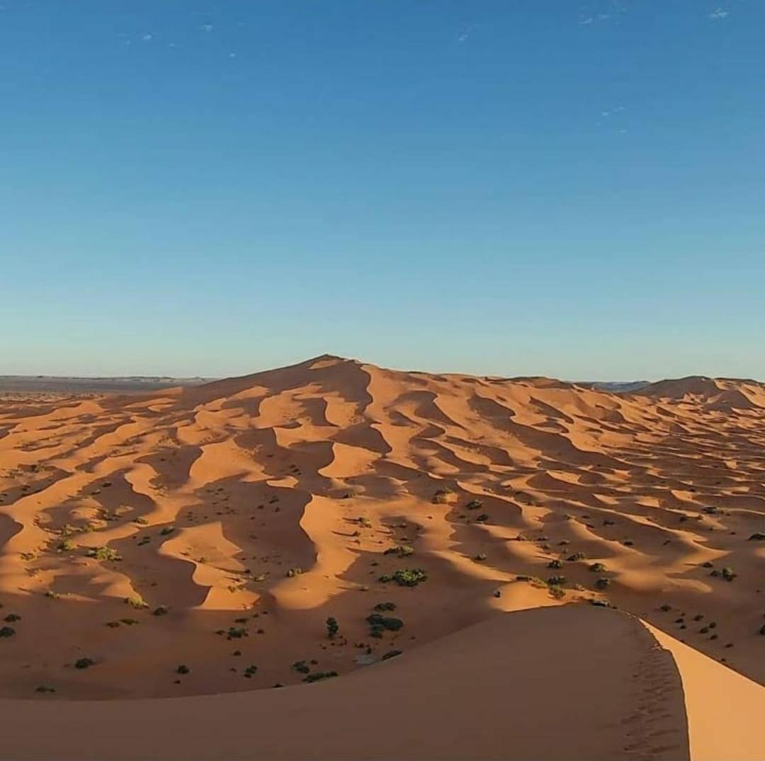 Camp Desert Bivouac Chegaga El Gouera Kültér fotó