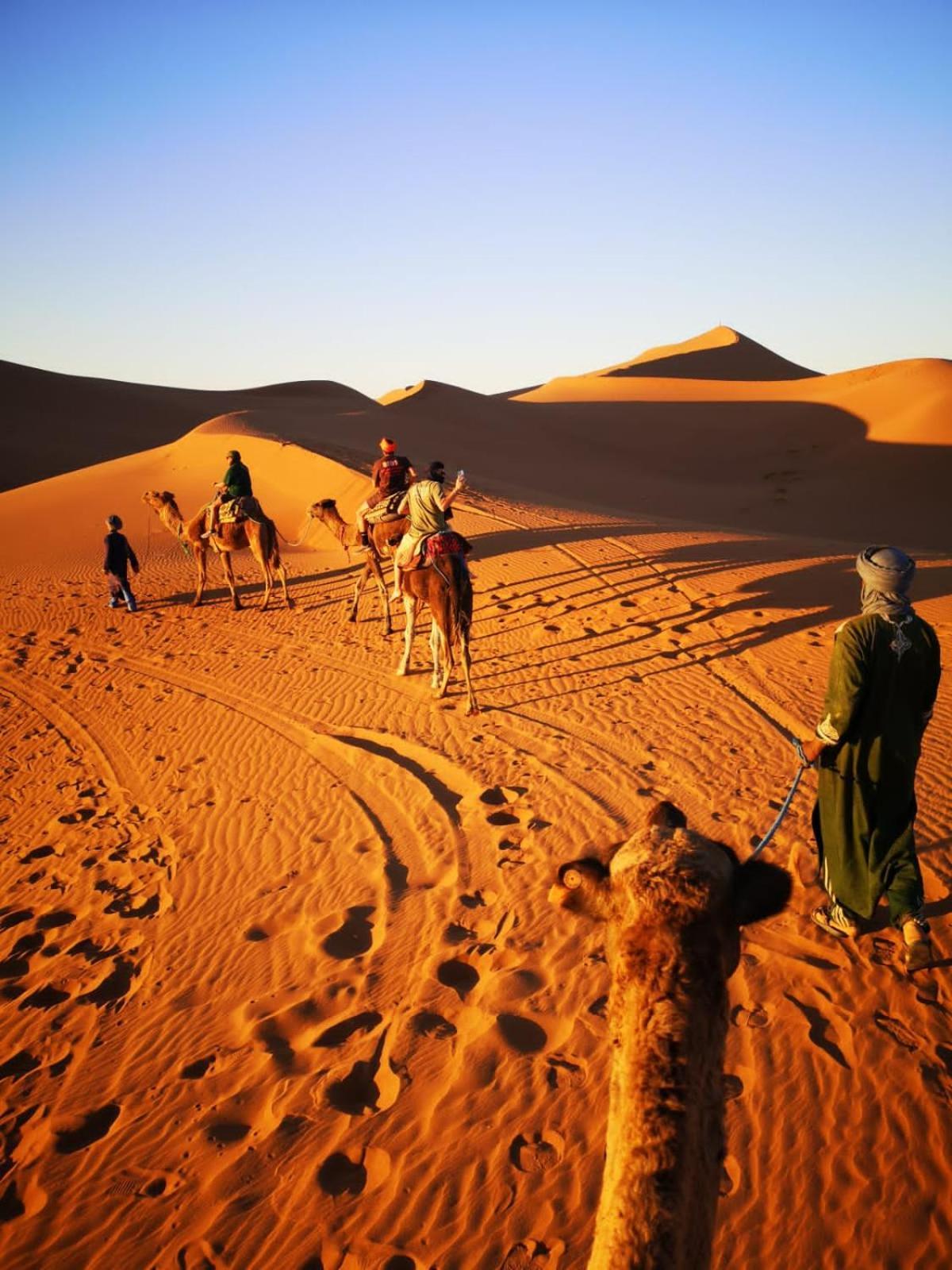 Camp Desert Bivouac Chegaga El Gouera Kültér fotó